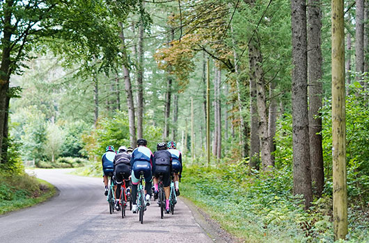 Fahrradfahrer, die durch den Wald fahren