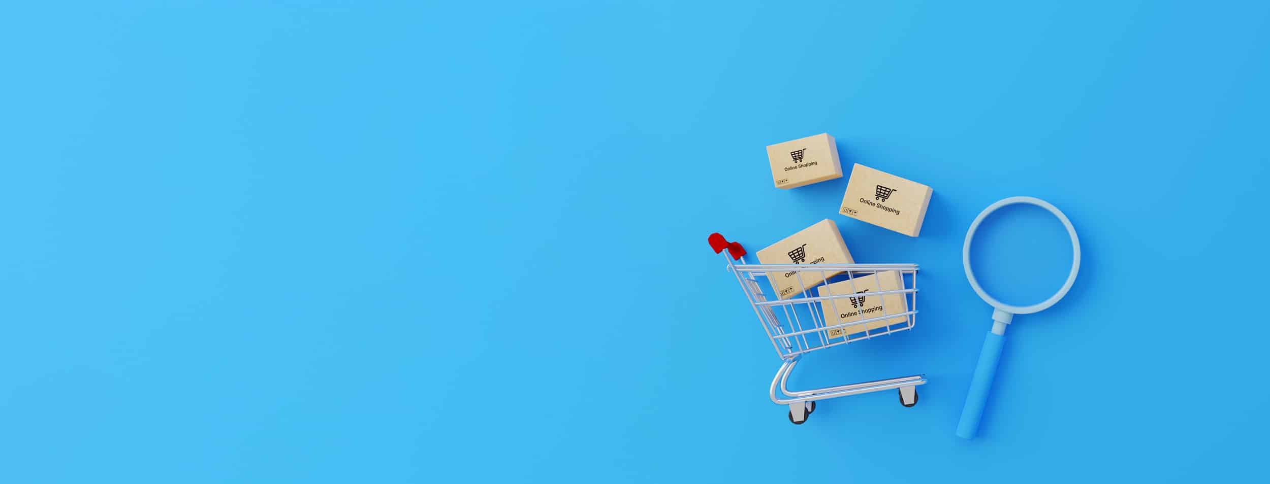 Mehr über den Artikel erfahren Webshop Umfrage